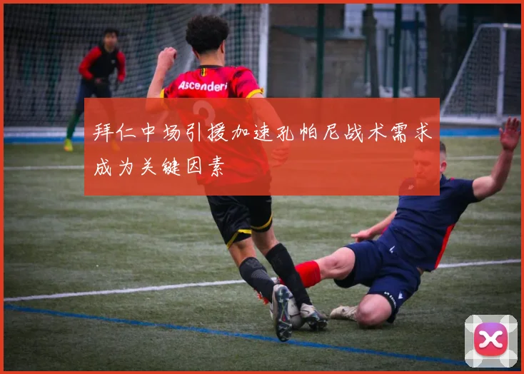 拜仁中场引援加速孔帕尼战术需求成为关键因素